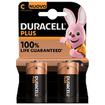 Duracell-Plus-100-C-B2-x10