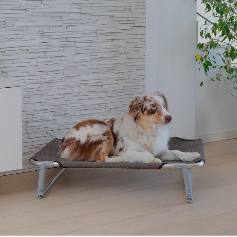 Ferplast-Dream-Hammock-pet-bed