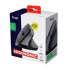 Trust-Bayo-II-mouse-Mano-destra-RF-Wireless-Ottico-2400-DPI