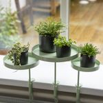 Esschert Design Vassoio per Piante con Morsetto Rotondo Verde M