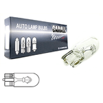 10 Pezzi Lampada Alogena T10 W5W 24V 5W Tutto Vetro W2,1x9,5d