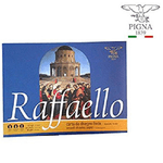 Trade Shop Traesio-album Da Disegno Raffaello Pigna Foglio F2 Liscio 24x33cm 10 Fogli 80 G/m -