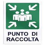 Trade Shop Traesio-cartello Punto Di Raccolta Segnaletica Direzionale Sicurezza Avvertimento -