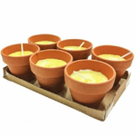 Trade Shop Traesio-set 6 Pezzi Candela Alla Citronella Vaso Di Terracotta Coccio Anti Zanzare -