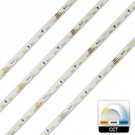 Trade Shop Traesio-striscia 980led 62w Cct Da 3000k A 6500k 24v Impermeabile Dimmerabile Bobina 5mt -