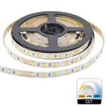 Trade Shop Traesio-striscia 980led 55w Cct Da 3000k A 6500k 24v Dimmerabile Strip Adesiva Bobina 5mt -