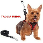 Trade Shop Traesio-elegante Pettorina E Guinzaglio Regolabile Per Cane Comfy Control Taglia Media -