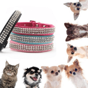 Trade Shop Traesio-collare Con Strass Per Cani Cane Gatti Animali Pet Brillantini Colori Assortiti -