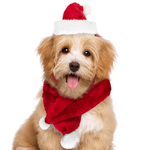 Trade Shop Traesio-set Sciarpa Cappello Babbo Natale Per Cani Gatti Di Piccola Taglia Rosso -