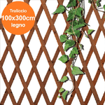 Trade Shop Traesio-traliccio Rete Estensibile In Legno Scuro Per Parete Da Giardino Piante 100x300 -