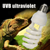 img-41f17fb3-fa82-410a-994a-e1854f6ac42f.png
