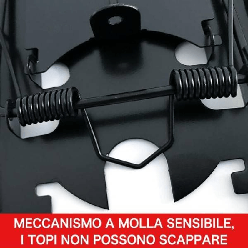 img-268b463e-d6c8-4d43-8568-00678a0dd7b4.png
