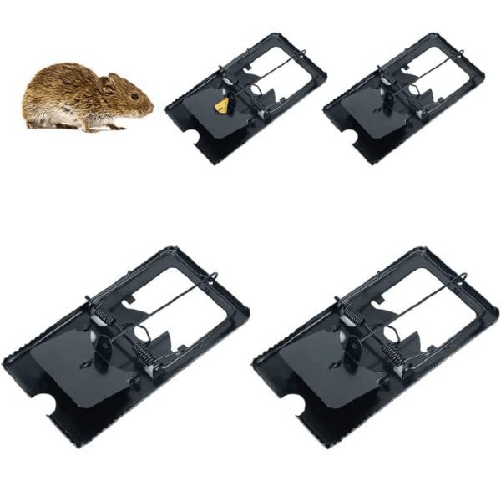 img-33c13c7e-b433-45a7-870f-94fc87537a55.png
