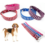 Trade Shop Traesio-collare Per Cane Cani Con Strass E Brillantini Brillantinato Taglia Media -