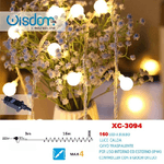 Wisdom-catena Luminosa A Bulbo 160led Luce Calda Cavo Trasparente 8 Giochi Luce Xc-3094 -