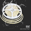 img-54e6a8d7-83a3-44e8-93c8-d58d2c1cfb42.png