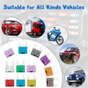 img-ae0ac66f-6742-456f-b01f-4bdb39e18f56.png