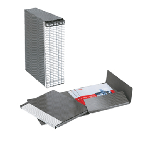 ESSELTE-Gruppo-Delso-Line---6-cartelle-2-lembi---con-custodia---25x32-cm---dorso-15-cm---grigio---Esselte