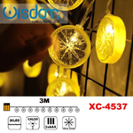 Wisdom-catena Luminosa Fette Agrume 20led Batteria Luce Calda Fissa Decorazioni Xc-4537 -