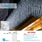 Wisdom-tenda Luminosa Natalizia 100led Luce Bianca Fissa + Bianca Intermittente Xc-3030 -