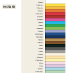 FAVINI-Cartoncino-Bristol-Color---70x100cm---200gr---blu-prussia-62---Favini---blister-10-fogli