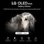 LG-OLED-evo-Gallery-Edition-4K-65---Serie-G2-OLED65G26LA-Smart-TV-NOVITA-2022