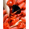 img-5e7bda92-ff7a-41da-bf29-4e03c2413b05.png