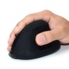 Ewent-EW3158-mouse-Mano-destra-RF-Wireless-1600-DPI