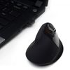 Ewent-EW3158-mouse-Mano-destra-RF-Wireless-1600-DPI
