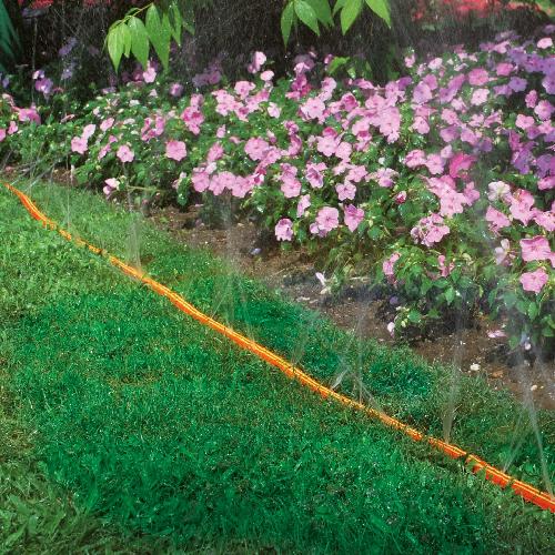 img-09ff439f-b5bc-447e-ba0c-1ef4584c717b