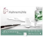 Hahnemuhle Harmony Acquerelli A4 Satinato 12 Fogli 300gr