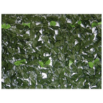 Brixo Siepe Evergreen Lauro 1.5x20mt