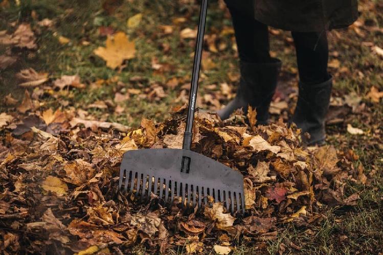 img-ee6a2532-65fe-44ba-825a-cfcaa305b9d6