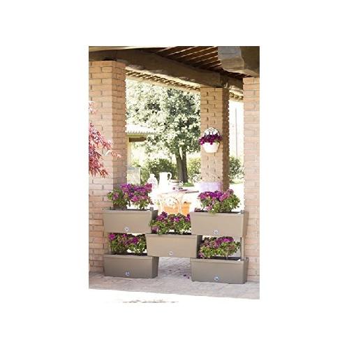 img-226ccb40-5fa2-471b-9602-96db782109ac