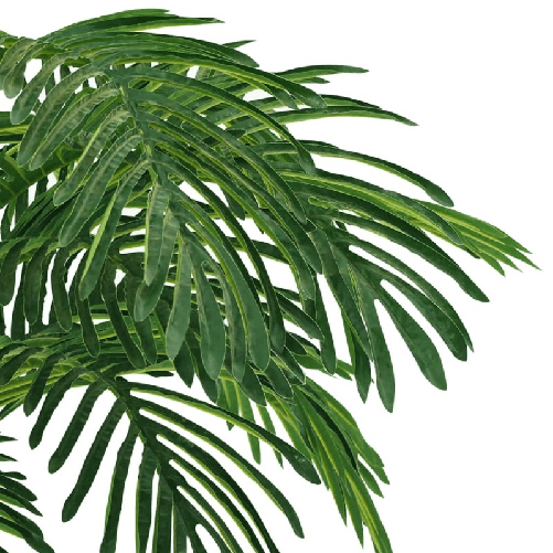 img-67749fd2-a3c8-4403-a6b0-3a4a2c24e326.png