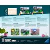 Ravensburger-20155-pagina-e-libro-da-colorare-Colore-per-kit-di-verniciatura-in-base-ai-numeri