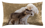 img-ee1b3a60-8012-4bad-9338-dc1127ada05d.png