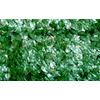 img-84b8069b-2fff-465f-a959-a40f5518e288.png