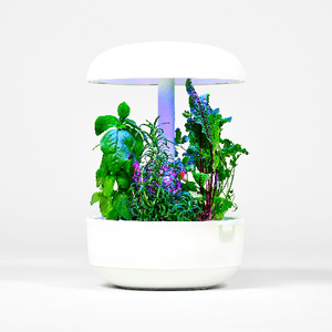 Plantui 6 Smart Garden Vaso Intelligente Bianco Rotondo