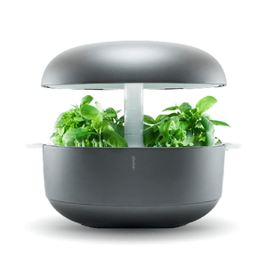 Plantui 6 Smart Garden Vaso Intelligente Grigio Rotondo