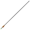 img-26bce372-02b5-40ac-8028-8cec2bce5a1e.png