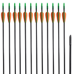 Frecce Standard per Archi Ricurvi 12 pz 76,2/0,6 cm Fibra Vetro