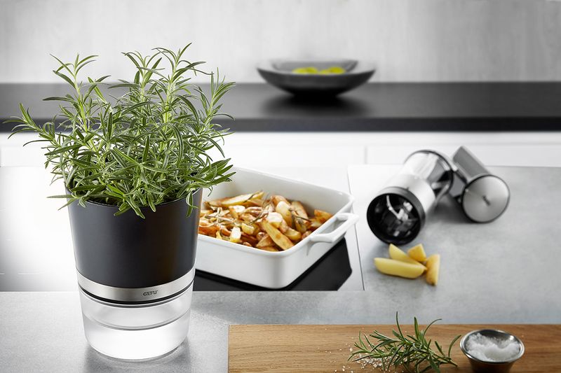 GEFU-BOTANICO-Vaso-per-erbe-aromatiche-Libera-installazione-Plastica-Stainless-steel-Nero