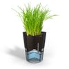 GEFU-BOTANICO-Vaso-per-erbe-aromatiche-Libera-installazione-Plastica-Stainless-steel-Nero