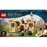 LEGO Harry Potter Hogwarts™: Prima lezione di volo