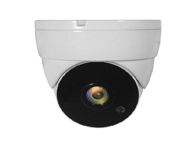 Level One LevelOne ACS-5302 telecamera di sorveglianza Cupola Telecamera di sicurezza CCTV Interno e esterno Soffitto