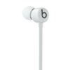 Apple-Flex-Auricolare-Wireless-In-ear-Musica-e-Chiamate-Bluetooth-Grigio