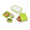 EMSA-CLIP-and-GO-XL-Contenitore-per-il-pranzo-23-L-Verde-Trasparente-1-pz
