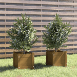 vidaXL Fioriere da Giardino 2 pz Miele 31x31x31 cm in Massello di Pino