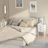 img-9bbb2245-4bce-42dd-8bc0-c5932c3c9d85.png
